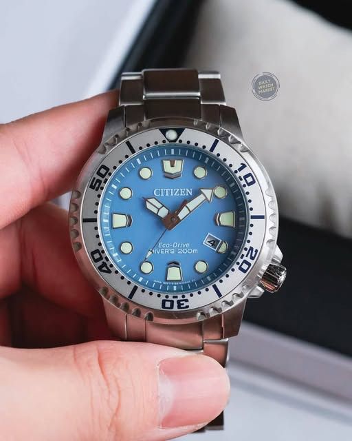 Citizen Pro Master Eco Drive watch